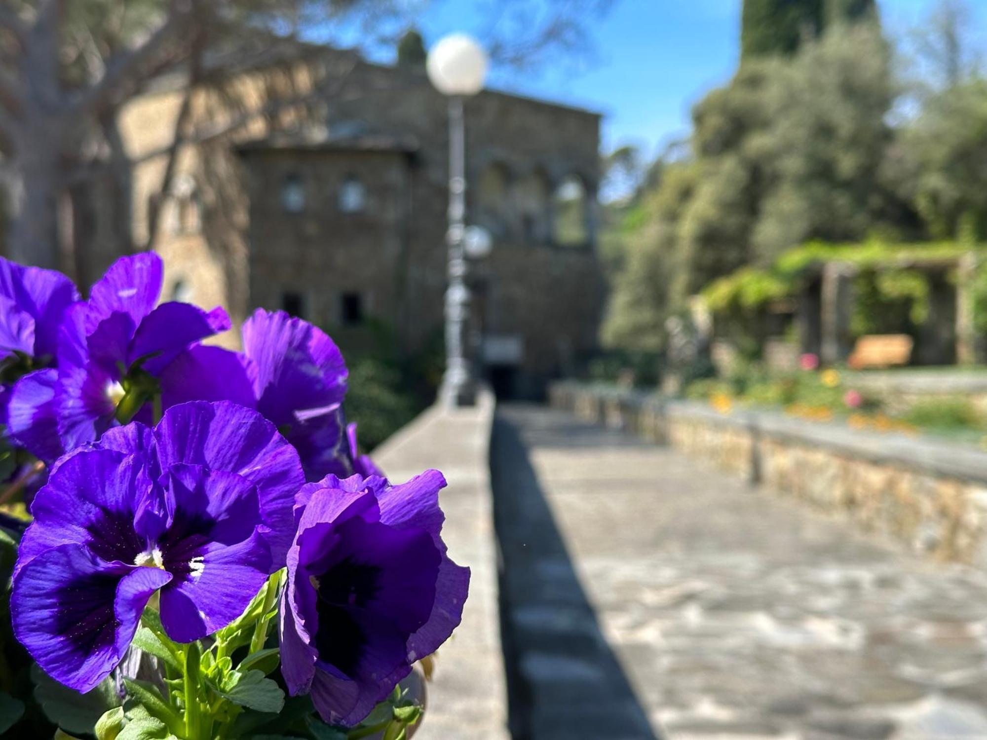 Grand Hotel Dei Castelli Sestri Levante Bagian luar foto