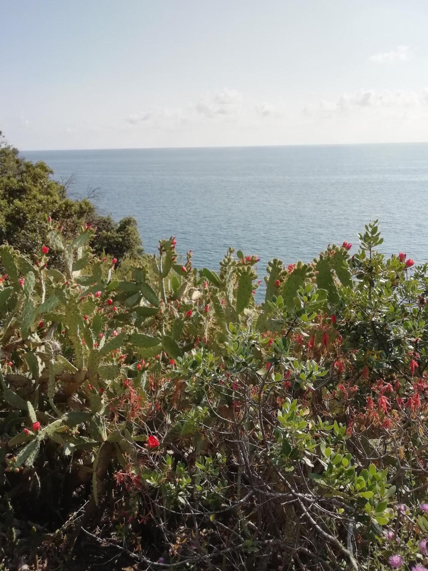 Grand Hotel Dei Castelli Sestri Levante Bagian luar foto